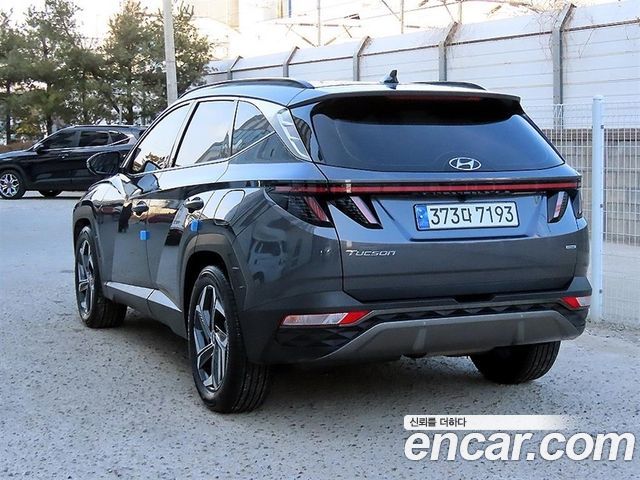 Hyundai Tucson (NX4) Diesel 2.0 4WD Inspiration 2023 — фото 2