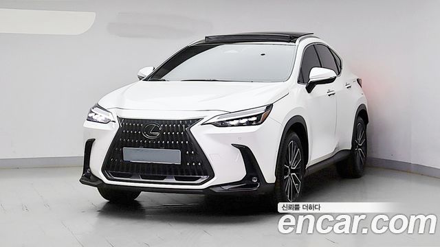 Lexus NX350h (II) Luxury