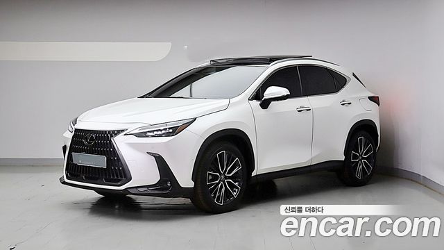 Lexus NX350h (II) Luxury 2024 — фото 3