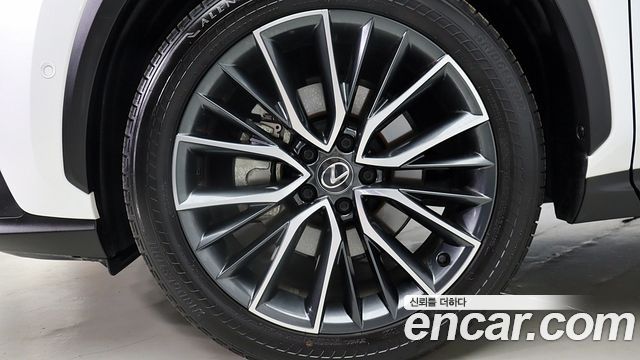 Lexus NX350h (II) Luxury 2024 — фото 5