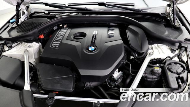 BMW 5 Series (G30) 520i Luxury 2019 — фото 6