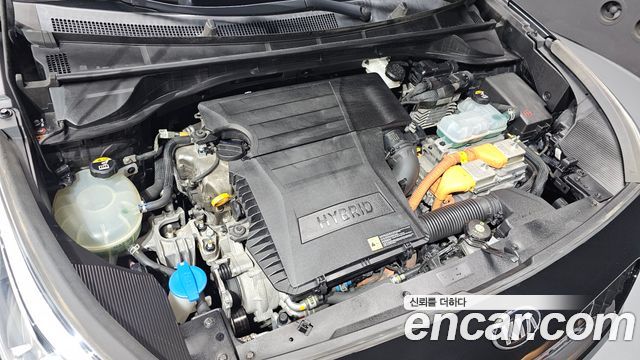 Kia Niro 1.6 HEV Noblesse 2020 — фото 6
