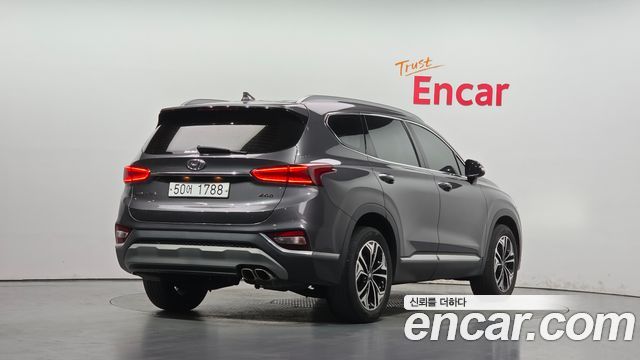 Hyundai Santa Fe (TM) Diesel 2.0 2WD Exclusive Special 2019 — фото 2
