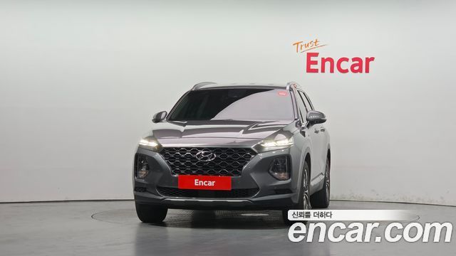 Hyundai Santa Fe (TM) Diesel 2.0 2WD Exclusive Special 2019 — фото 3