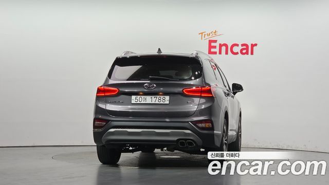 Hyundai Santa Fe (TM) Diesel 2.0 2WD Exclusive Special 2019 — фото 4