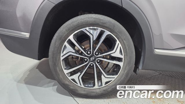 Hyundai Santa Fe (TM) Diesel 2.0 2WD Exclusive Special 2019 — фото 5