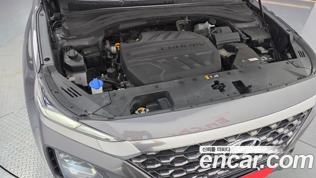 Hyundai Santa Fe (TM) Diesel 2.0 2WD Exclusive Special 2019 — фото 6