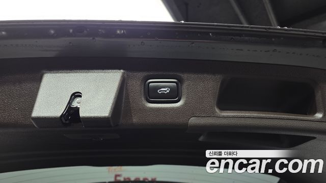 Hyundai Santa Fe (TM) Diesel 2.0 2WD Exclusive Special 2019 — фото 16