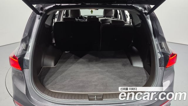 Hyundai Santa Fe (TM) Diesel 2.0 2WD Exclusive Special 2019 — фото 17