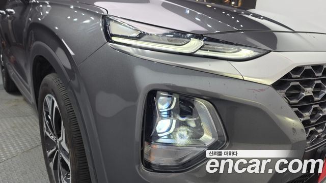 Hyundai Santa Fe (TM) Diesel 2.0 2WD Exclusive Special 2019 — фото 22
