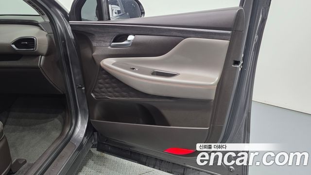 Hyundai Santa Fe (TM) Diesel 2.0 2WD Exclusive Special 2019 — фото 24