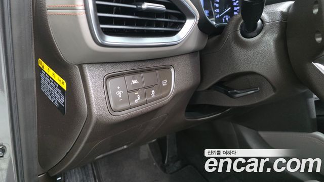 Hyundai Santa Fe (TM) Diesel 2.0 2WD Exclusive Special 2019 — фото 27