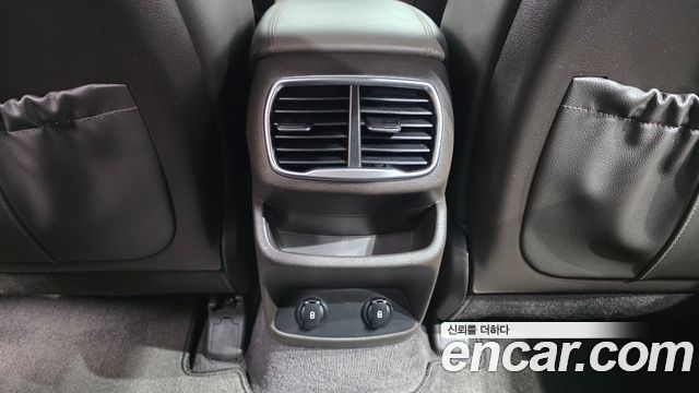Hyundai Santa Fe (TM) Diesel 2.0 2WD Exclusive Special 2019 — фото 34