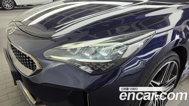 Kia Stinger Meister 2.5 AWD Masters 2021 — фото 22