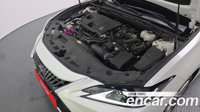 Lexus ES300h (VII) Luxury Plus 2023 — фото 6