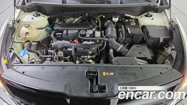 Kia Sportage (V) Gasoline 1.6 Turbo 2WD Signature 2022 — фото 6