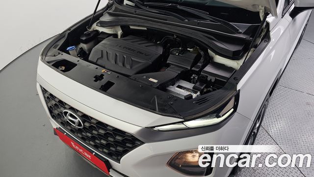 Hyundai Santa Fe (TM) Diesel 2.0 2WD Premium 2019 — фото 6