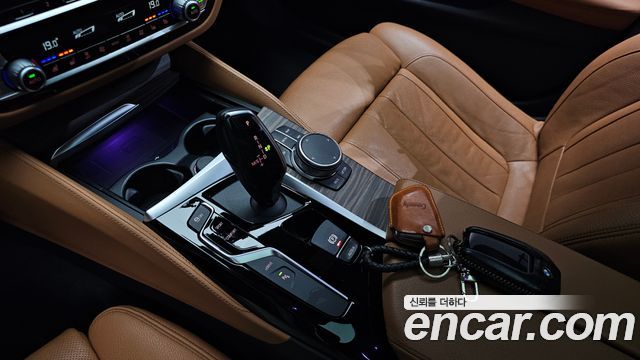 BMW 5 Series (G30) 530e M Sport 2020 — фото 9
