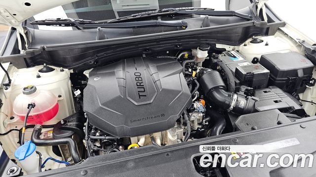 Kia Sportage (V) Diesel 2.0 4WD Trendy 2023 — фото 6