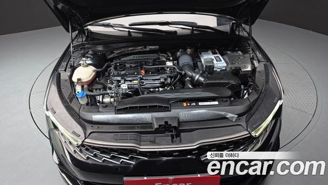 Kia K5 (III) 1.6 Turbo Signature 2023 — фото 6