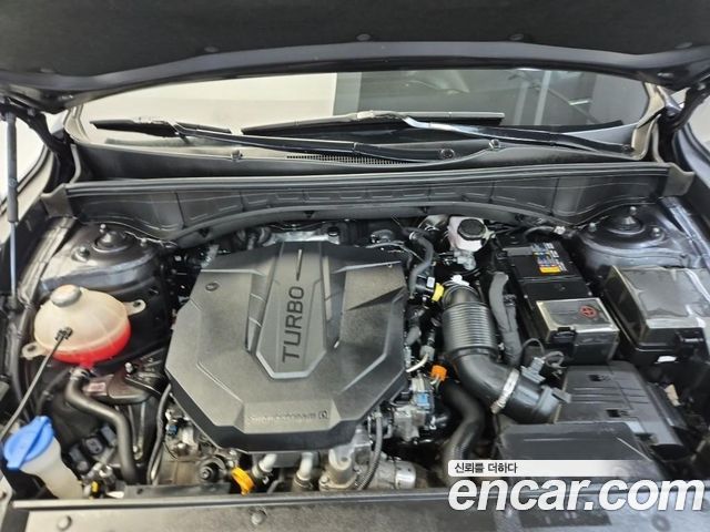 Kia Sorento (IV) Diesel 2.2 4WD Noblesse 2022 — фото 5