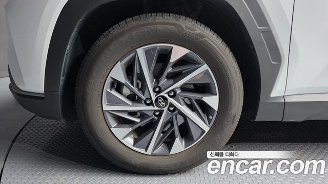 Hyundai Tucson (NX4) Diesel 2.0 2WD Modern 2023 — фото 5