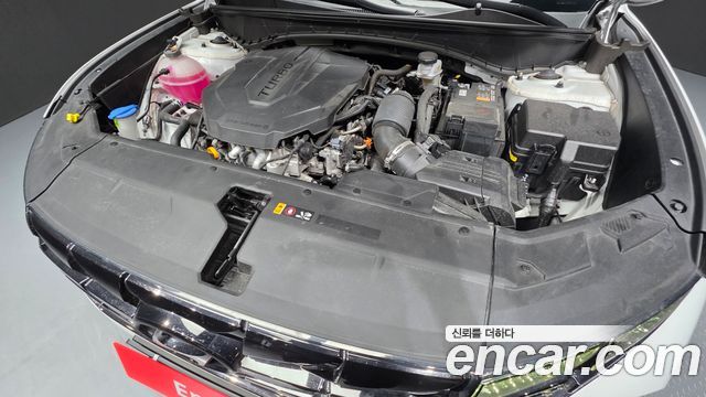 Hyundai Tucson (NX4) Diesel 2.0 2WD Modern 2023 — фото 6