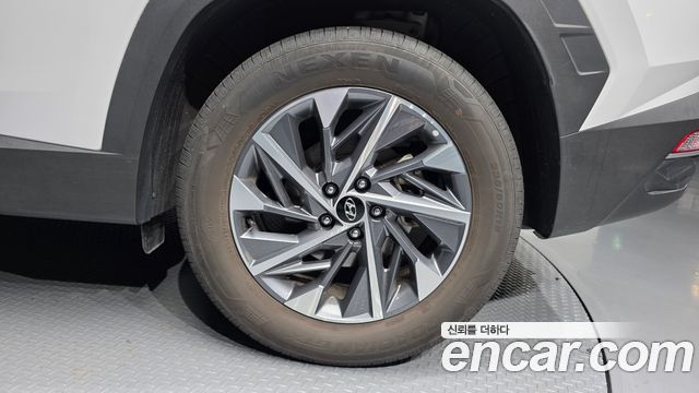 Hyundai Tucson (NX4) Diesel 2.0 2WD Modern 2023 — фото 21