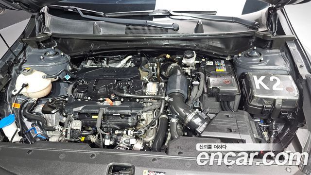 Kia Sportage (V) Gasoline 1.6 Turbo 2WD Signature 2023 — фото 6
