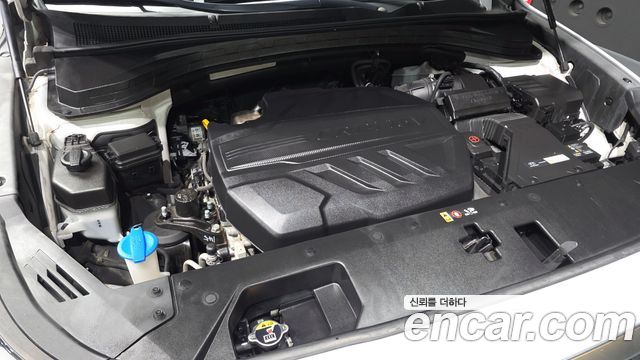Hyundai Santa Fe (TM) Diesel 2.2 2WD Exclusive 2020 — фото 6