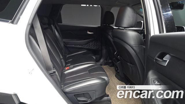Hyundai Santa Fe (TM) Diesel 2.2 2WD Exclusive 2020 — фото 12