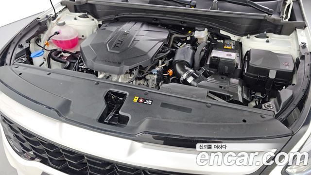Kia Sportage (V) Diesel 2.0 4WD Trendy 2023 — фото 6