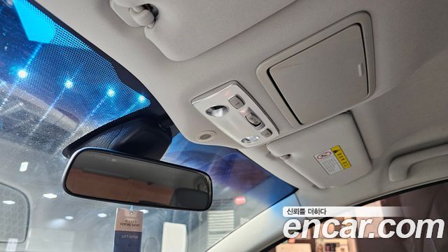 Renault Korea SM5 (New) LPLI Handicapped 2011 — фото 28