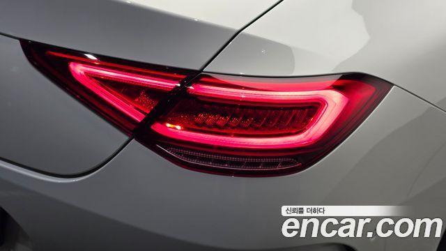 Mercedes-Benz CLS-Class (C257) CLS300d AMG Line 2019 — фото 29