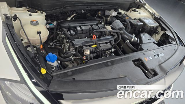 Kia Sportage (V) Gasoline 1.6 Turbo 2WD Signature 2023 — фото 6