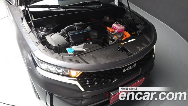 Kia Sorento (IV) HEV 1.6 2WD Signature 2023 — фото 6