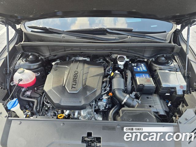 Kia Sorento (IV) Diesel 2.2 2WD Noblesse 2023 — фото 6