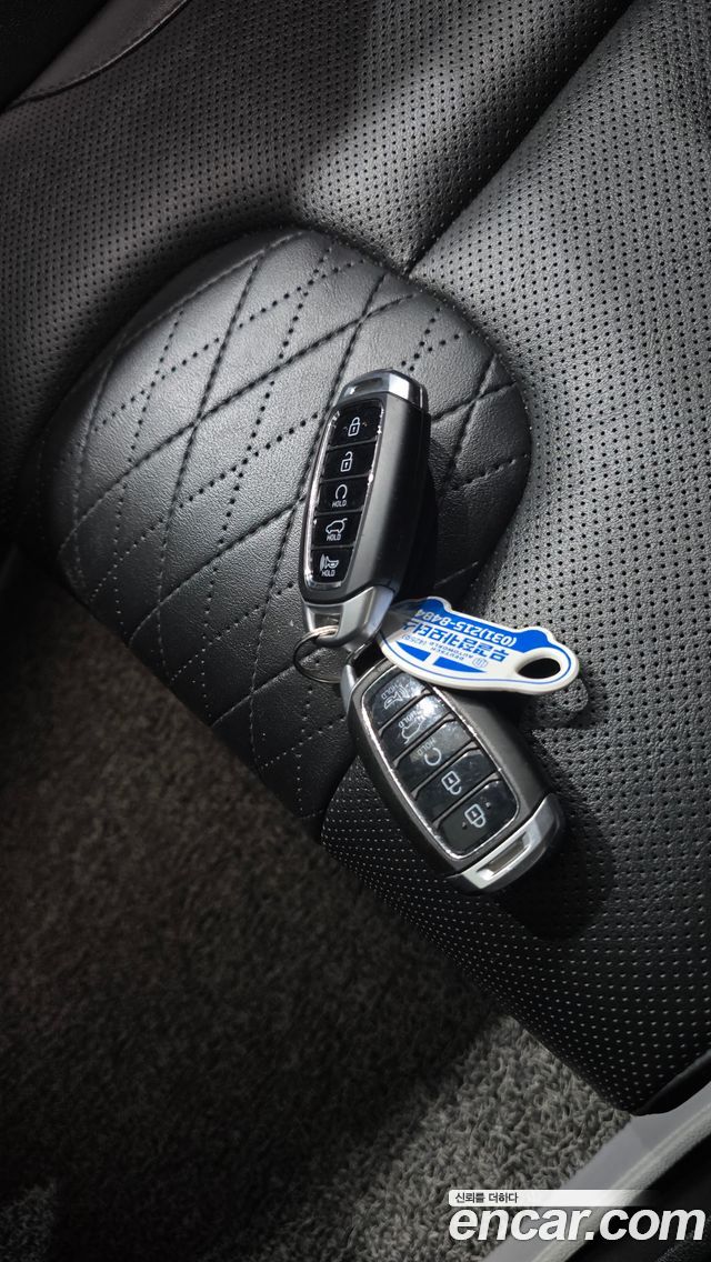 Hyundai Palisade Gasoline 3.8 2WD Exclusive 2019 — фото 18