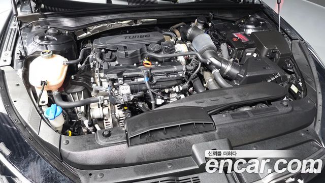 Kia K5 (III) 1.6 Turbo Prestige 2022 — фото 6