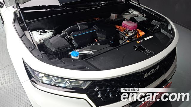 Kia Sorento (IV) HEV 1.6 2WD Gravity 2023 — фото 6
