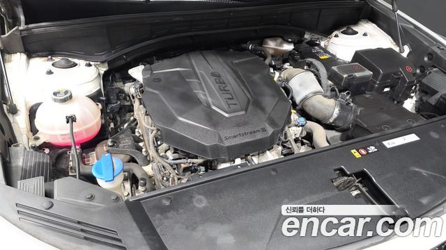 Kia Sorento (IV) Diesel 2.2 2WD Trendy 2023 — фото 6