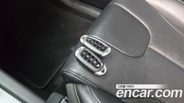 Hyundai Santa Fe (TM) Diesel 2.0 2WD Exclusive 2020 — фото 30