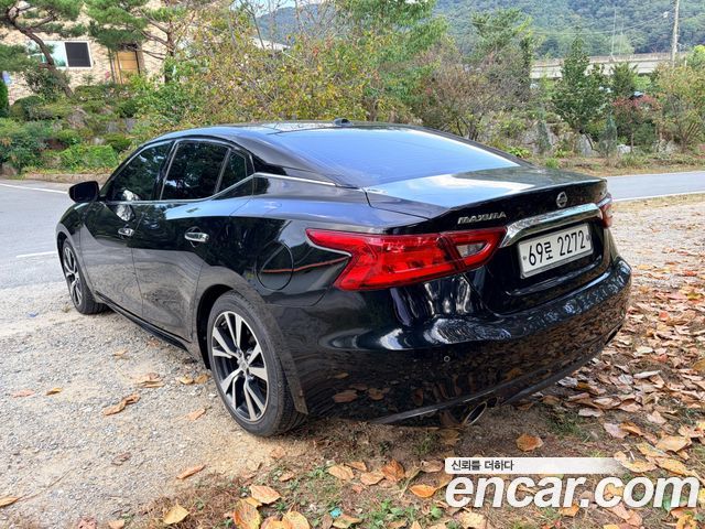 Nissan Maxima (A36) 3.5 Platinum 2017 — фото 6