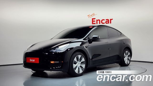Tesla Model Y Standard Range RWD 2021 — фото 1