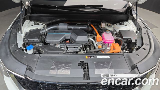 Kia Sorento (IV) HEV 1.6 2WD Signature 2024 — фото 6