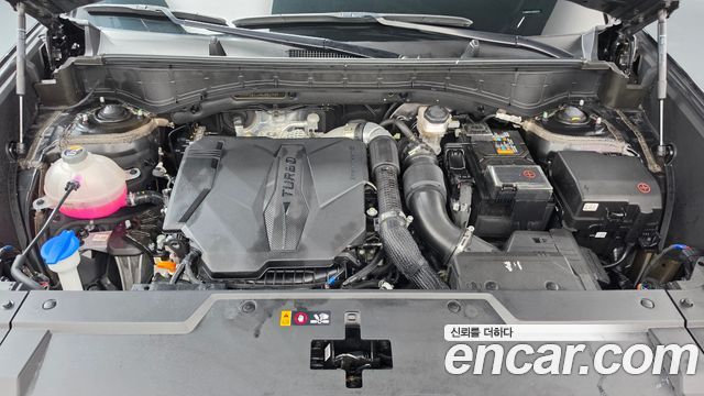 Hyundai Santa Fe (MX5) Gasoline 2.5T 4WD Calligraphy 2024 — фото 6