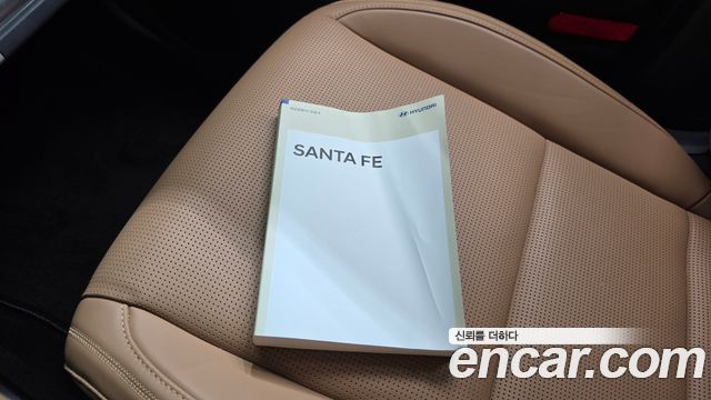 Hyundai Santa Fe (MX5) Gasoline 2.5T 4WD Calligraphy 2024 — фото 15