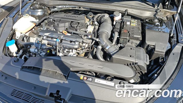 Kia K5 (III) 1.6 Turbo Noblesse 2024 — фото 6