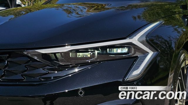Kia K5 (III) 1.6 Turbo Noblesse 2024 — фото 22