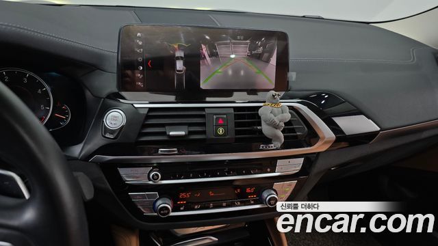 BMW X4 (G02) xDrive20d xLine 2019 — фото 16